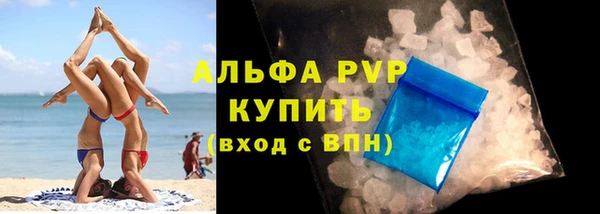 стафф Аркадак