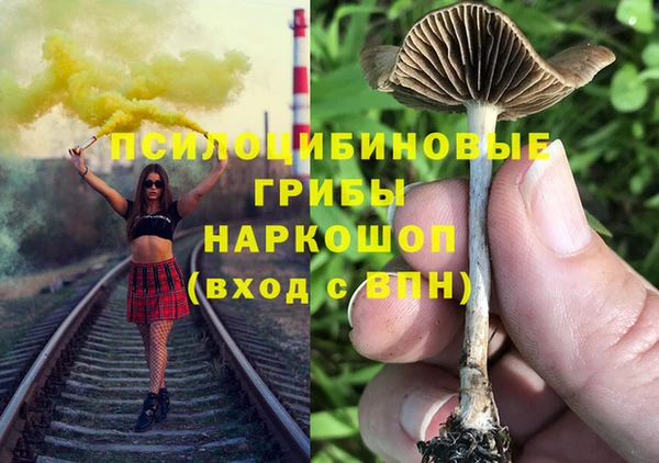 стафф Аркадак